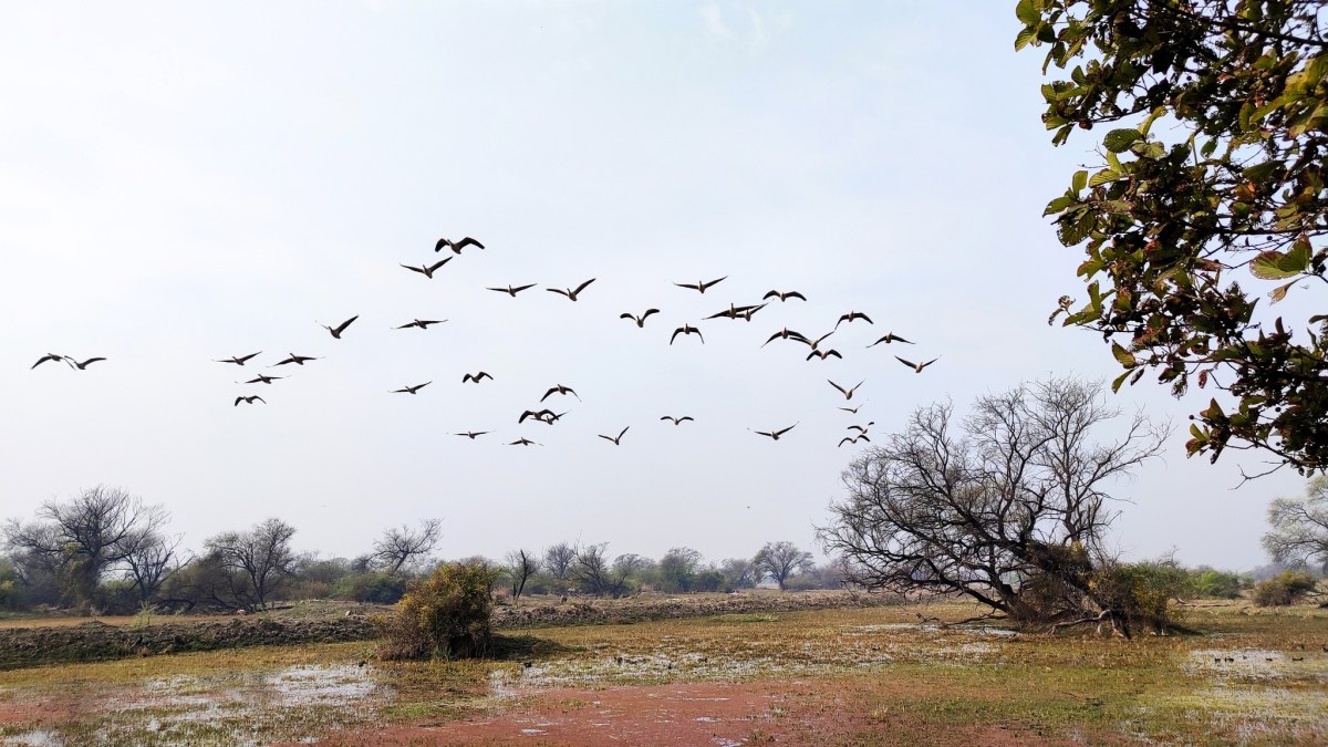 Bharatpur, Fatehpur Sikri and Deeg: Impromptu&nbsp;Outings