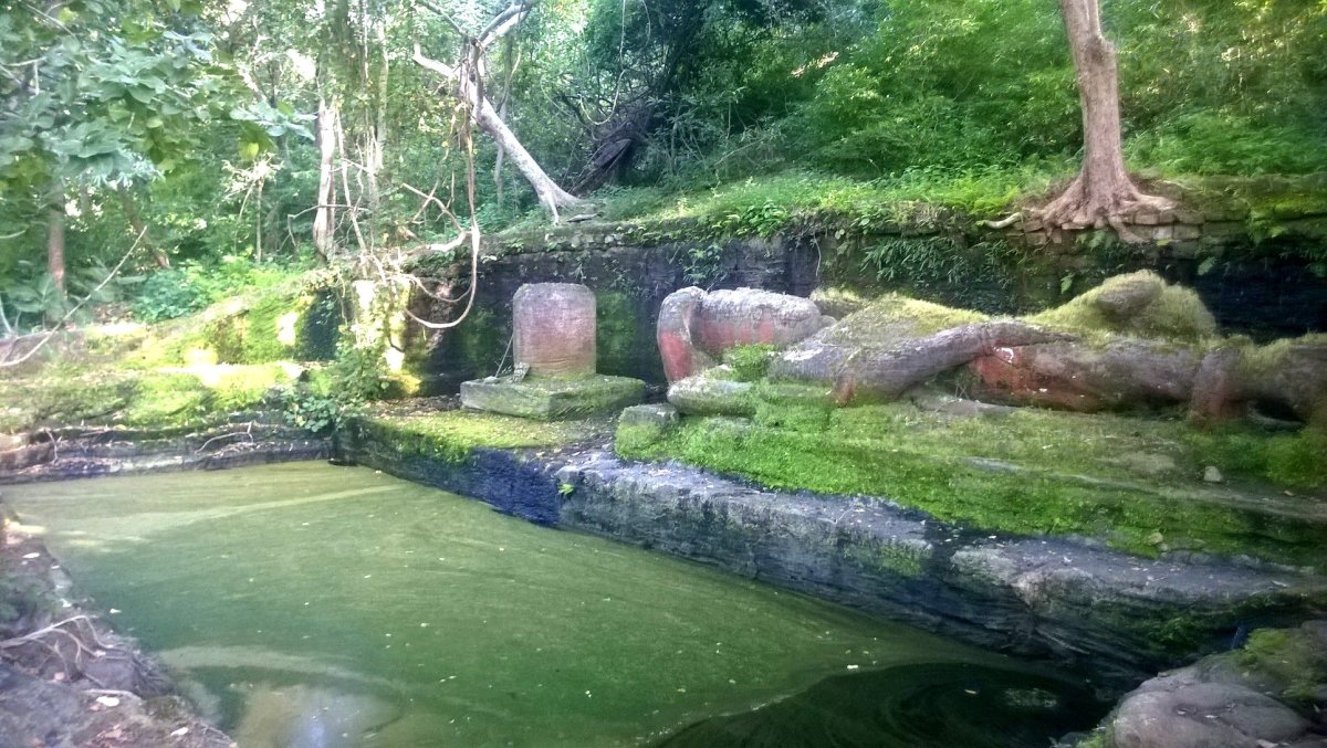 Of Forts and Forests: Gwalior, Datia, Orchha and&nbsp;Bandhavgarh